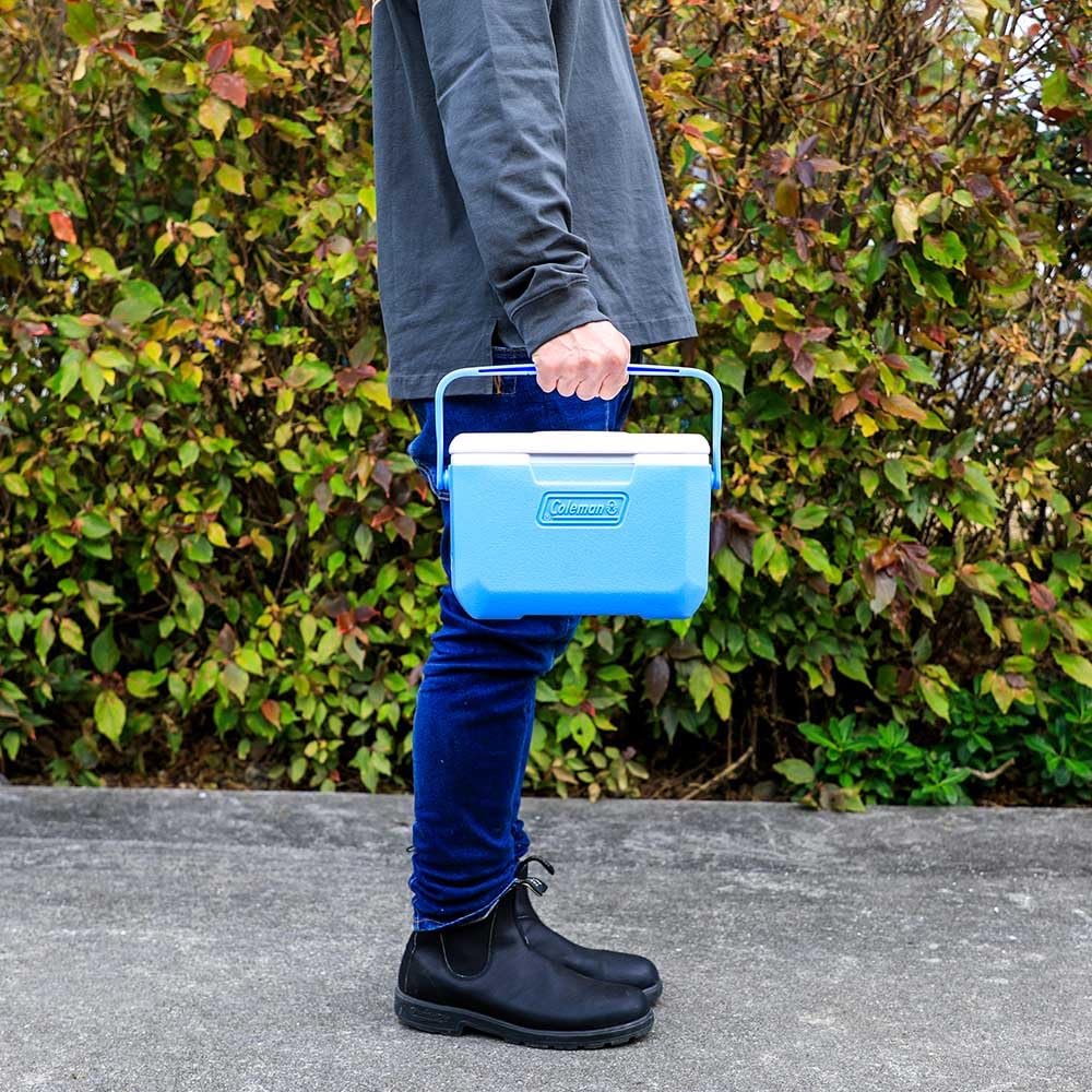 Coleman Take 6 Cooler Box Perfect for Sports Cherry Blossom Club Lunch and Other Outdoor Durable and Powerful Cooling System for Heat (Daydream) -