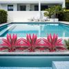 Realistic Leaves Fake Tropical Palm Plants Plastic Shrub Cordyline Fruticosa Plants  Living Room