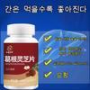 1+1 Galgeunyoung Designated Liver Protection, Fatigue Recovery Nutritional Supplement, Good Medicine for Kidneys, Liver Protector, 40ml, 2 Units