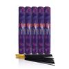 HEM Opium Pack of 5 Packs of 20 Incense Sticks