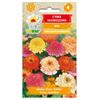 Zinnia Scabbiosis Mix Flower Seeds for the Garden
