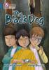 Книга The Black Dog : Band 16/Sapphire
