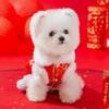 Dog Clothes New Year's Blessing Satchel Tang Clothing Festive New Year's Cotton-padded Clothes Small Teddy Bear Chinese New Year Pet Clothing