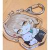 [AIA] Акриловый брелок для ключей с персонажем Без крепления RDA-GY Rosidere Moe goods брелок неформальный (Очистить D) [продукт]