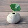 Rough Ceramic Zen Hydroponic Vase Handmade Desktop Small Vase Creative Stone Shape Vase  Stoneware