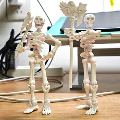 Скелет Многосуставная Подвижная Игрушка 3D Модель для Самостоятельной Сборки Украшения Фигурка Декор для Рабочего Стола Детские Подарки Миниатюрная Статуэтка