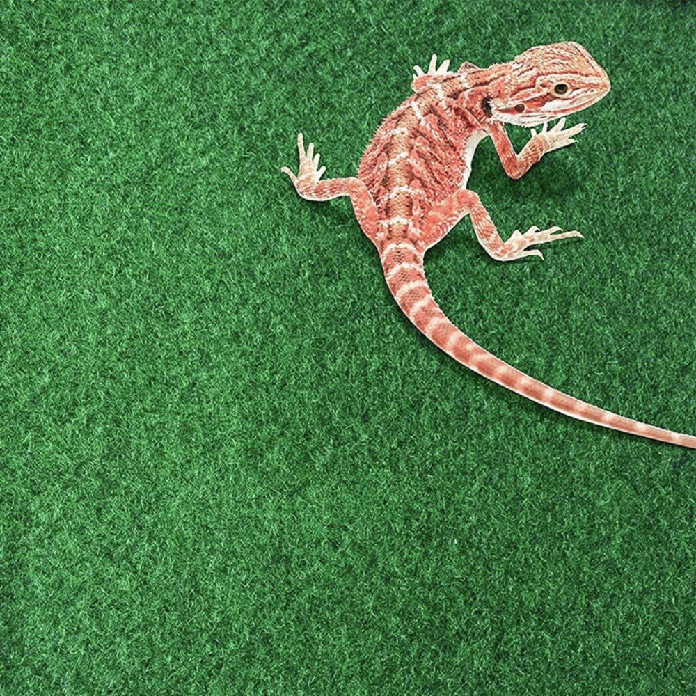 Water Absorbing Moisturizing Reptile Bed Waterproof Crawling a Pet Carpet  Lizard