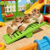 Plastic Small Animal Toys Colorful Rodents Seesaw Pet Exercise Toy Pet Cage Toy  Cage Environment