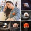 Cartoon Felt Toy Gift Handmade Material Kit Animal Wool Felting Wool Doll Brooch Needle Felting Kit