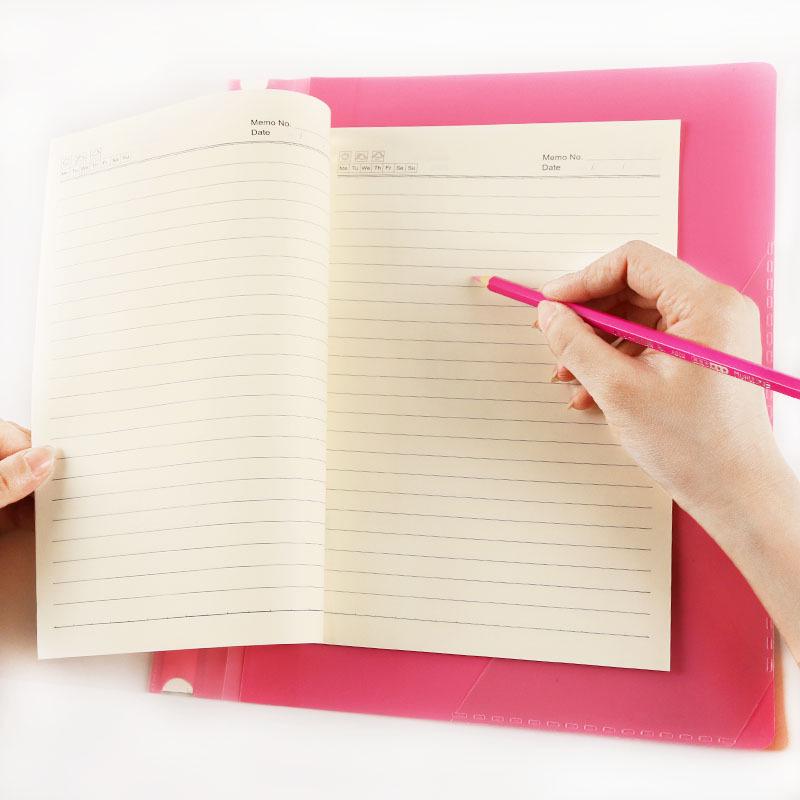 Прозрачная двухстраничная папка-скоросшиватель формата А4 с двумя отверстиями 320