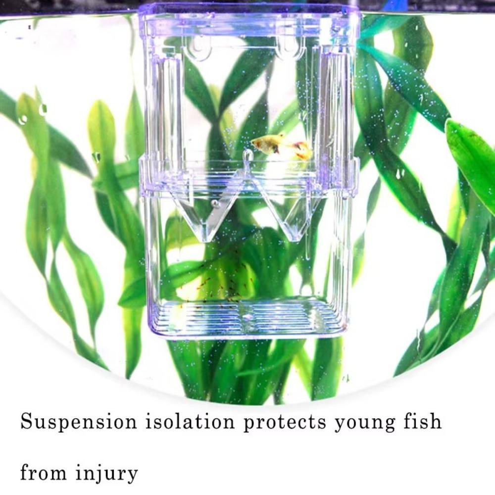 Multifunctional Fish Aquarium High Clear Fish Breeding Isolation Box Aquarium Breeder FishTank Double Guppies Hatching Incubator