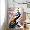5d DIY Алмазная картина вышивка крестом животное красивый павлин алмазная вышивка мозаика домашний декор