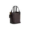 Coach Hanna 18 Brand Logo Magnetic Snap Detachable Bucket Bag Women Shoulder Bag Gold Brown Black CR256-IMAA8
