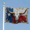 1PC1pcs Texas Bull Bone Square Flag Enhancing the Appeal of Outdoor Water Feature Areas Courtyard Decoration Wall Banner Poster Banner Breeze Flag Ban