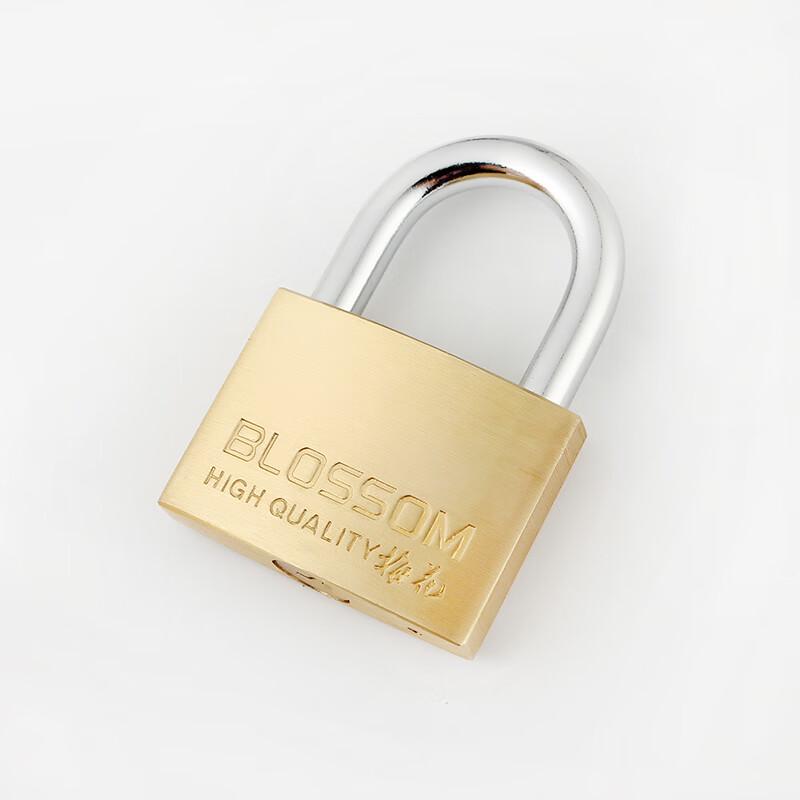 Латунный навесной замок BLOSSOM