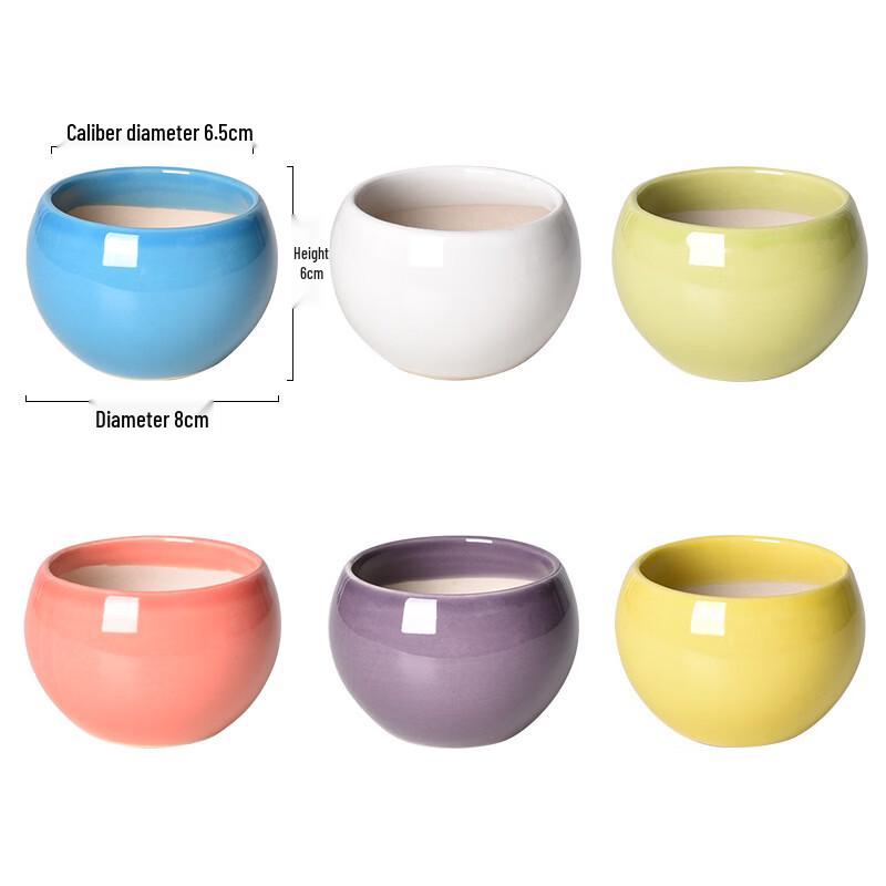 MOJY Ceramic Succulent Planter Set