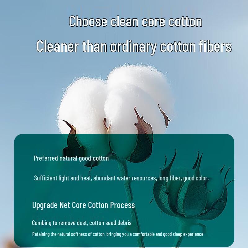 Hengyuanxiang Class A Washable Summer Comforter