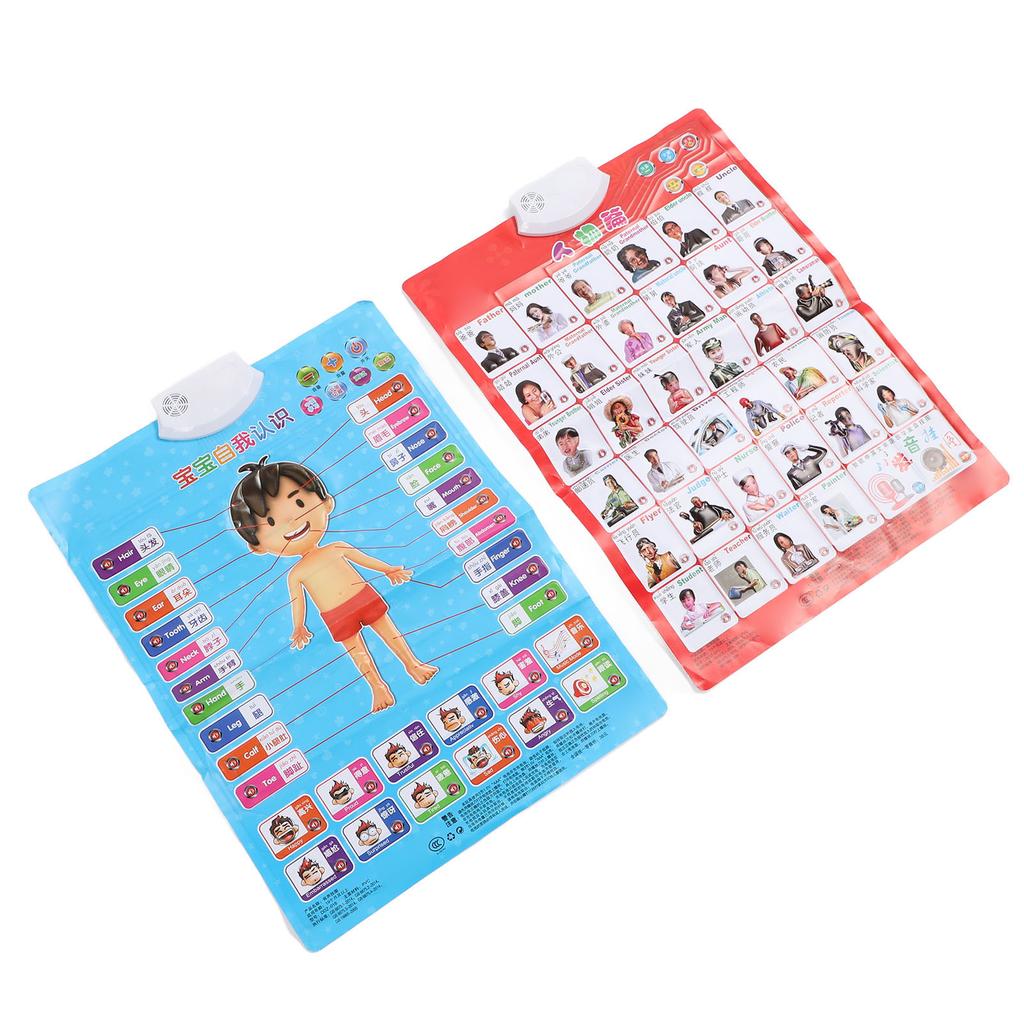 2 шт. плакаты по фонетике на китайском и английском языках, многоцелевое развлечение для раннего образования, самопознание и рисунок на английском языке