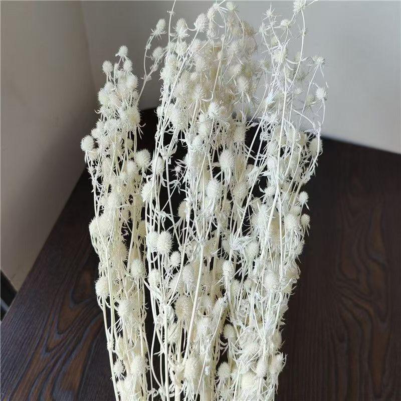 Preserved Rabbit Tail Grass Bouquet - DIY Dried Flower Decoration with Pampas Grass