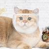 Намордник для кошки от укусов Защита морды кошки Для стрижки когтей Прозрачный шлем-намордник для котят Товары для домашних животных
