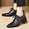 British Style Thick Heel Single Shoes Women's 2025 Spring and Autumn New Retro Medium Heel Square Head Soft Leather High Heels