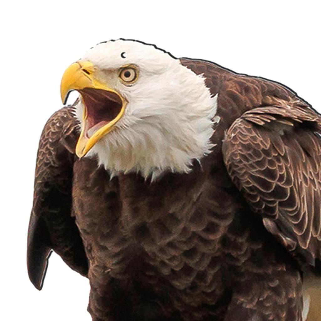 Поддельная сова Реалистичное украшение Сова Пугало Отпугиватель птиц Статуя поддельной совы Приманка для декора сада Крыши Открытый двор