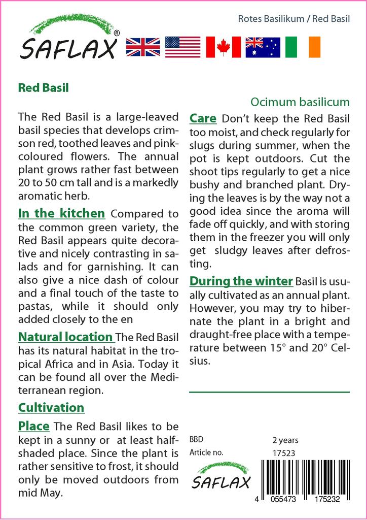 SAFLAX Garden in the Bag - Базилик красный - 200 семян - С субстратом в подходящем пакете - Ocimum basilicum