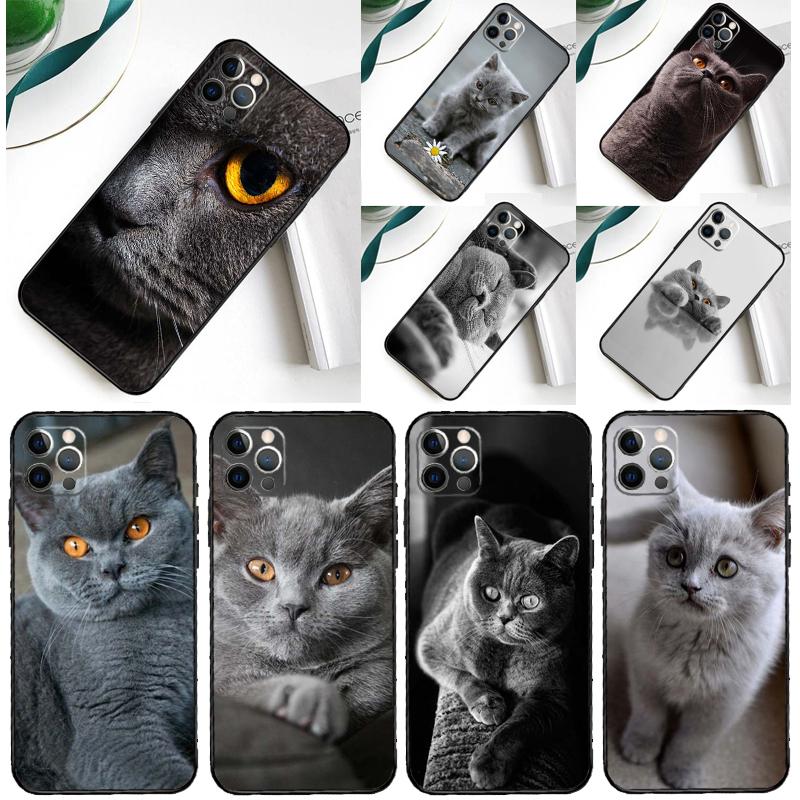 Красивый Серый Британский Короткошерстный Кот Чехол Для Телефона Для iPhone 16 Pro Max 11 13 14 15 Pro Max 12 Mini XR 16 15 Plus 16e Задняя Крышка