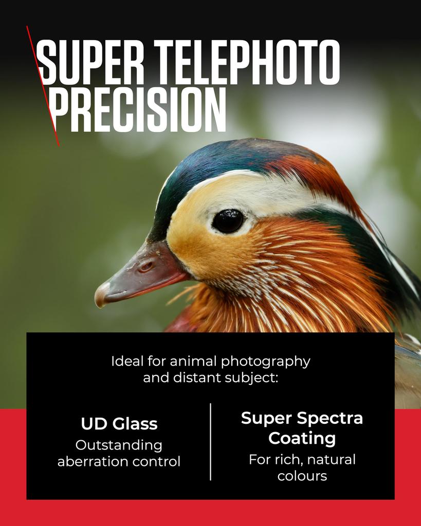 Canon RF IS USM Lens for Canon R System Cameras Ideal for Wildlife Action and Aviation 100-400mm F5.6-8 - Photography, Sports,