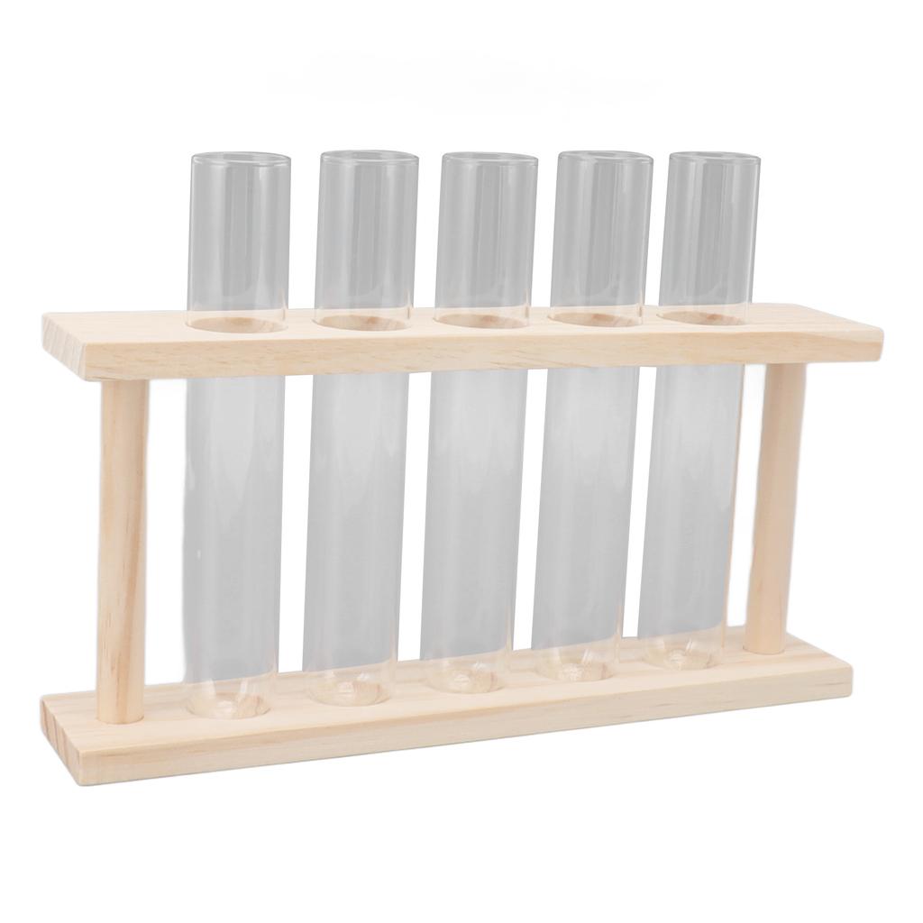 5 пробирок террариум для растений прозрачный наблюдение за ростом состояние террариум для растений с деревянной подставкой