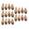 5 Bag Parrot Chew Nuts Relieve Boredom Sharpen Mouth Natural Home Decorative Dried Nut