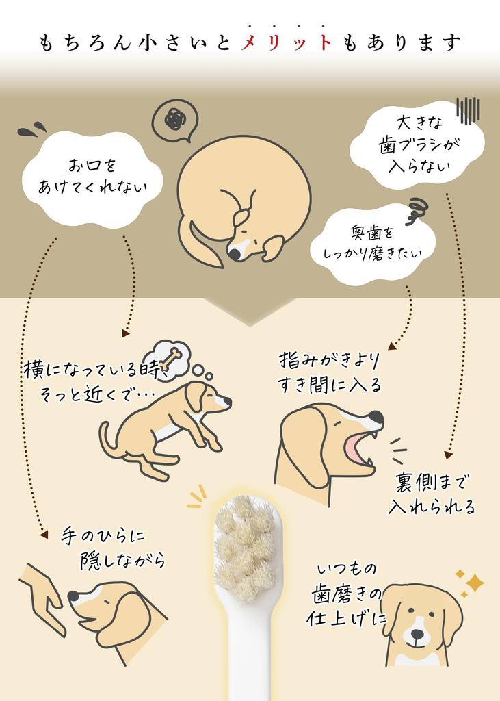 Зубная щетка MIGAKENDE Compact Head для маленьких собак с козьей щетиной, супермягкая, из натурального ворса, Япония, MIGAKENDE 6 Flock (Белый, шт.)