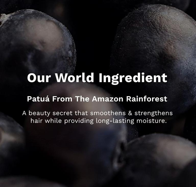 Pilgrim Patua & Keratin Hair Smoothening Shampoo For Dry & Frizzy Hair Sulphate & Paraben Free Shampoo For Women & Men 200ml