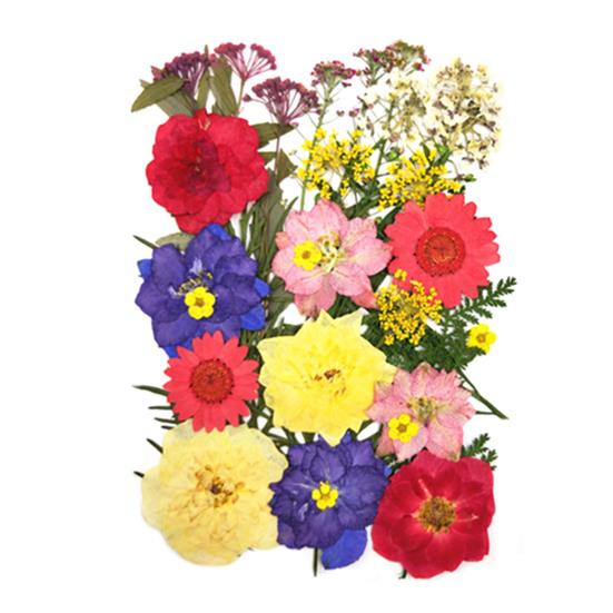 1 Set Dried Pressed Flowers Kit Colorful Natural Flowers DIY Art Crafts Supplies Resin Jewelry Epoxy Mold Candle Soap Vase Making Nail Card