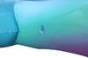 Надувной матрас Bestway 168 x 66 см Дельфин Daydream, грузоподъемность 45 кг, 41541, для катания (Плавательный круг Дельфин)