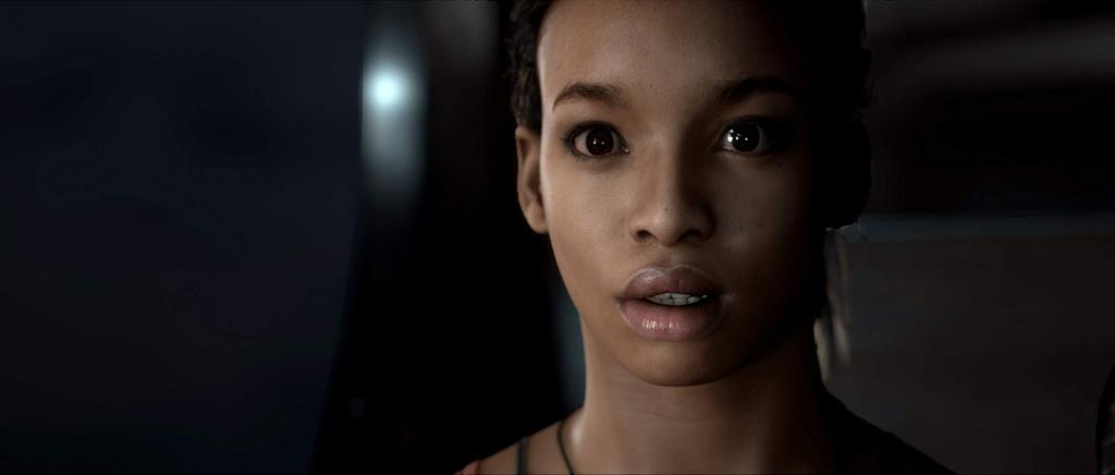 Темная Маленькая Надежда Север PS4 Картинки (Импорт Америка) -