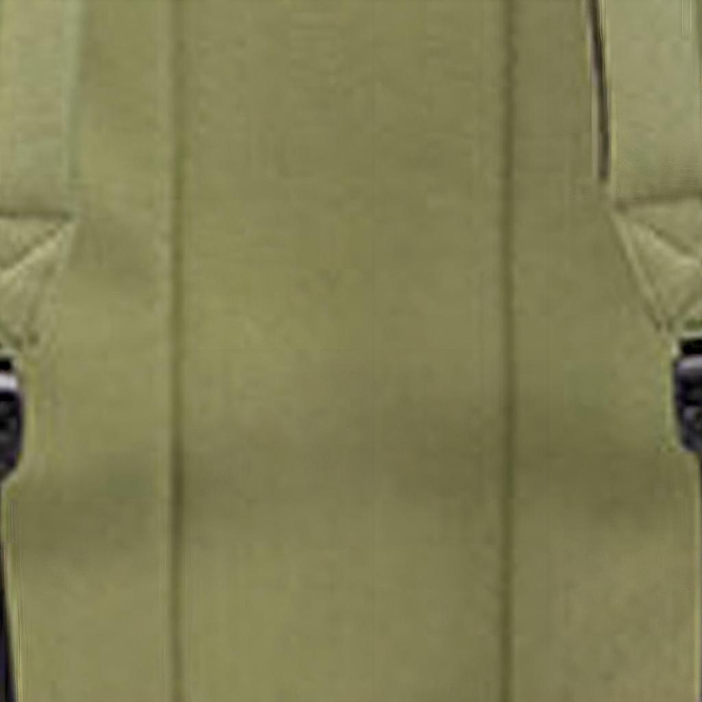 Dickies Student Campus Print Trendy Solid Fabric Backpack Unisex Backpacks Green 191U90LBB52GN01