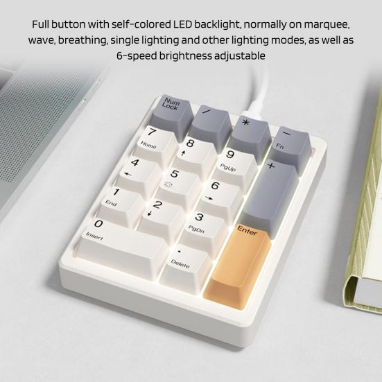 USB Wired Mechanical Number Pad 17 Keys Number Keypad Laptop Computer Desktop Numpad Mini Numeric Keyboard PC Accessories