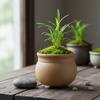 Sand Mini Flower Pot with Bottom Leak Hole for Moss and Acorus Planting Decorative Pot