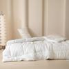 Muji Four Seasons Polyester Fiber Quilt