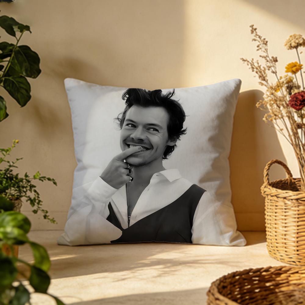 Модная наволочка Hharry Stylesing Универсальная двусторонняя наволочка для дивана, кровати, автомобиля, повседневного декора