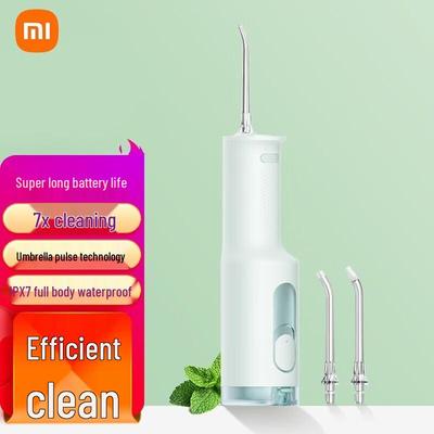 Ирригатор Xiaomi F300 (напольный), вилка CN (адаптер в комплекте)