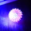 Bouncing Light-Up Ball Spiky Rubber Sensory Toy with Flashing Colors Cat Dog Chewing Toy Teeth Cleaning Thorn Balls