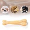 Wear Tough Dog Molar Stick Beef Scent Durable Bite Toy  Indoor Outdoor Play