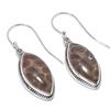 Natural Fossil Coral Gemstone 925 Solid Sterling Silver Gift Earring 1.50" F3f73