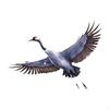 Crane Sculpture for Wall Decoration Metal Art Garden and Yard