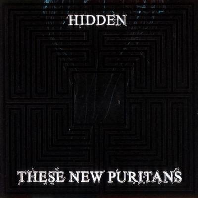 CD THESE NEW PURITANS - Hidden [CD] These New Puritans WIGCD241S Domino 2010 UK Танцевальная и Электронная Б/У