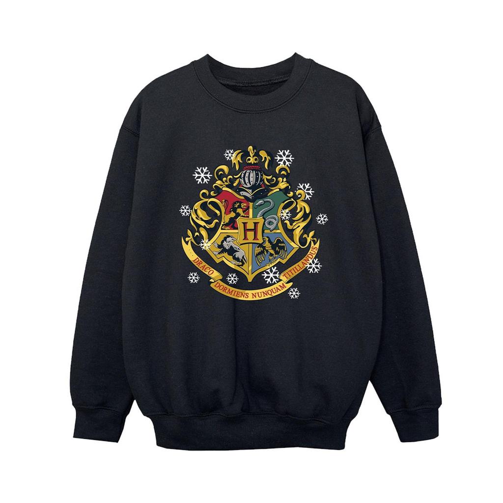 Harry Potter Boys Christmas Crest Sweatshirt