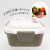 OSK Snoopy Peanuts Bento 500ml Made in Dishwasher & Box, [Divider/4-Point Lock/Shatter-Resistant], Japan, Safe, PCD-500