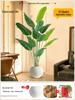 Искусственное дерево Стрелиция - Роскошная зелень для декора гостиной